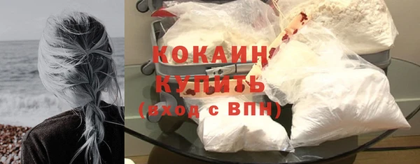 индика Богородицк