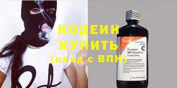 стаф Каменногорск