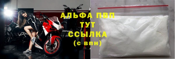 спиды Каменка