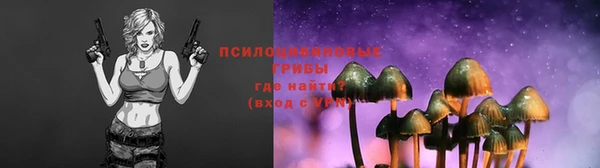 дмт Рославль