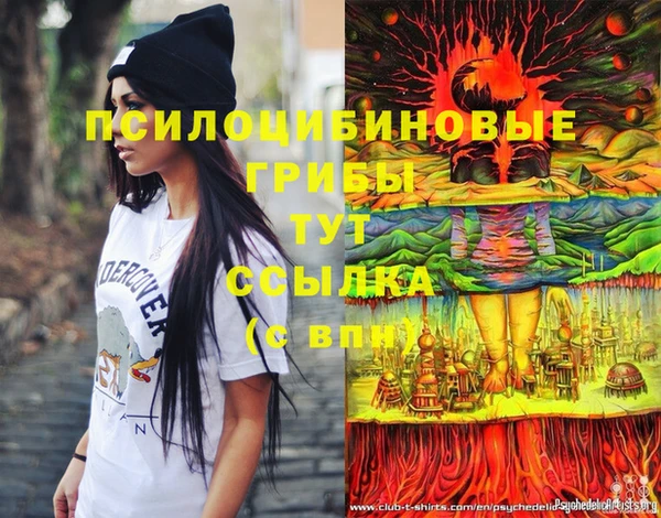 мяу мяу мука Саяногорск